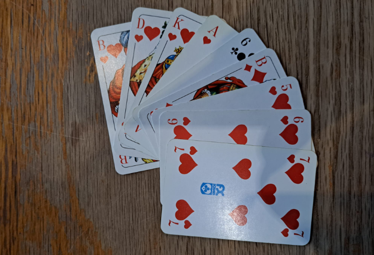 Alleine Kartenspielen: Über 40 Kartenspiele für 1 Person